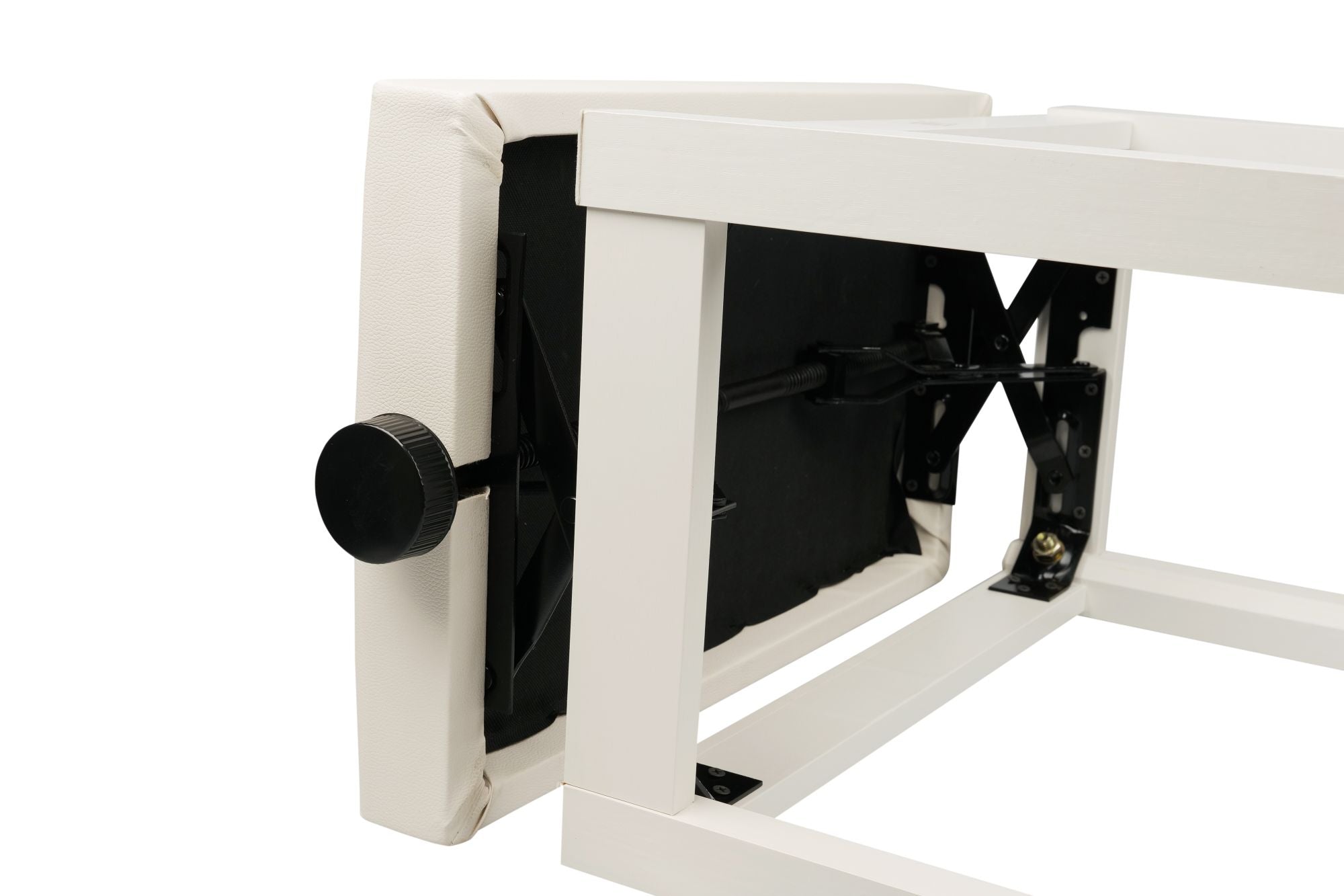 HENRY’S Classic PS-1 - WhiteGalerijní obrázek č.3