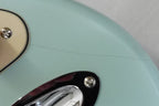 HENRY’S Snake II Classic matt  ST-1CM Naja - surf green Shelter