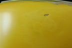 HENRY’S LH Snake II Aged ST-1L Viper - yellow Shelter