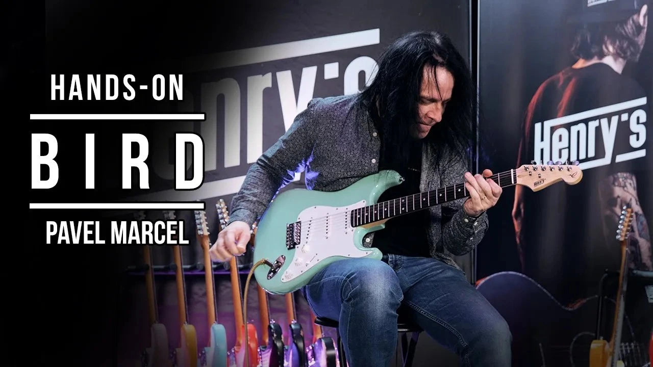 Watch Bird series in the hands of Pavel Marcel