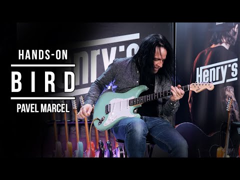 Bird series in the hands of Pavel Marcel